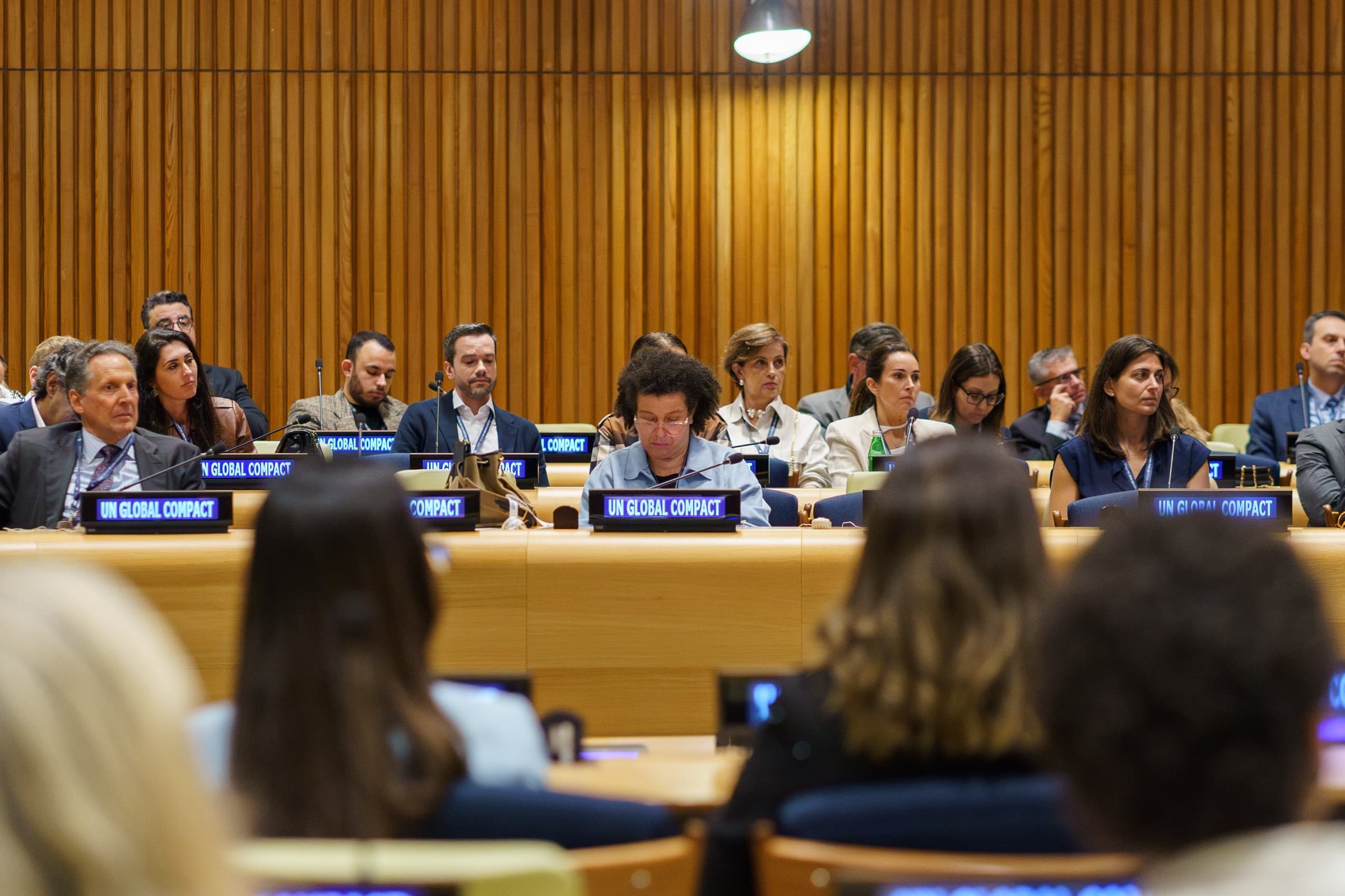 High Level Delegation UN · frame 06